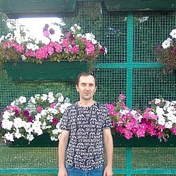 ���������, ������ �����, 44 ����