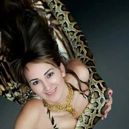 �����, ���, 36 ���