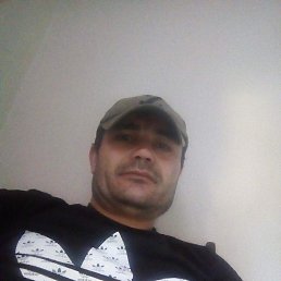 �������� �������, ������, 44 ����