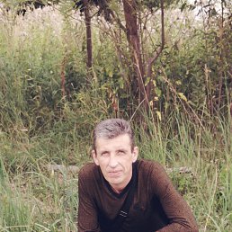 , 50, 