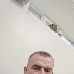 �������, 39 ���, ������������