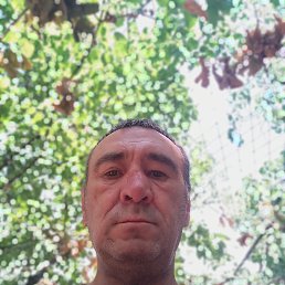 , 49, 