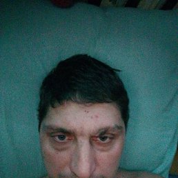 ������, 41 ���, �����������