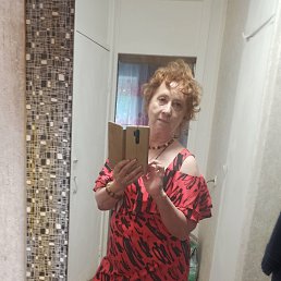 ���� ��������, ���������, 66 ��� - ��������� 9 �������� 2024