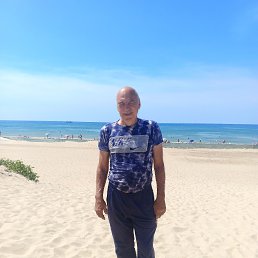 , 61, 