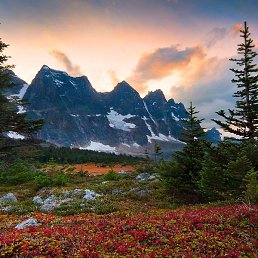 ����, �����������, 22 ����