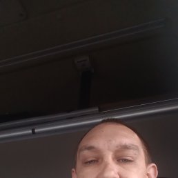 , 41, 