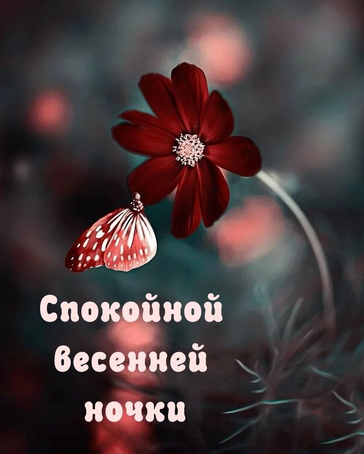   ,    . - 16  2024  21:55