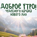 ���� ��������� ( ��������), ������� - ��������� 3 ���� 2024 � ������ ������ ��������