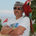 ���� �������, ���������, 65 ��� - ��������� 5 ���� 2024 � ������ ���� ����������