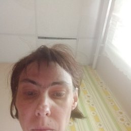 ����, ������, 43 ����