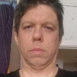 ������, �����, 41 ���