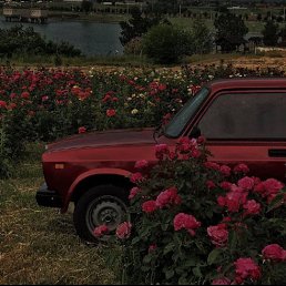 ���� ����, ������, 20 ��� - ��������� 25 ����� 2024