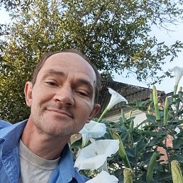 , 49, 