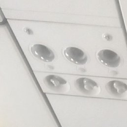 ��������, ������, 47 ���