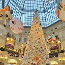 ��� �� ������� ���� ����������