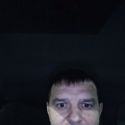 ����� �������, 41 ���, ����