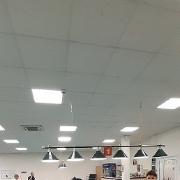 ������, ������, 41 ���