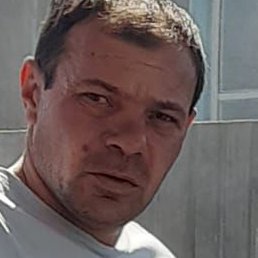 ����, ������, 38 ���