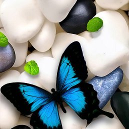 ���� ������, ���������, 41 ��� - ��������� 15 ������� 2024