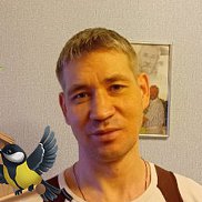 , 41 , 