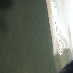 , , 51 