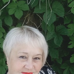 , 55, 
