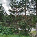 ���� ������, ����������� - ��������� 20 ������� 2024 � ������ ����� 2024�