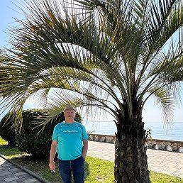 ���������, ������, 65 ���