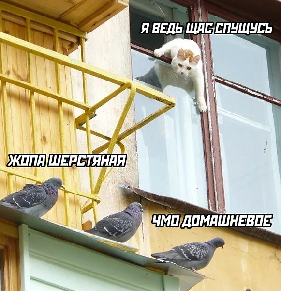 ���� ��� ���� - 16 ���� 2025 � 22:03