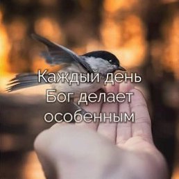 Fill, �����������
