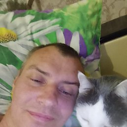 ���������, �����, 42 ����