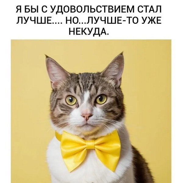   - 5  2025  19:28