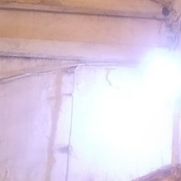 ����, ������, 38 ���