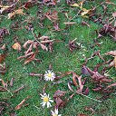  Dmitrijus, , 56  -  2  2024    