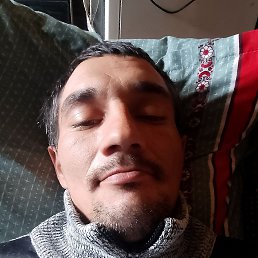 , 29, 