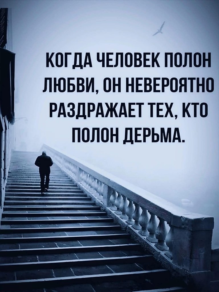   - 8  2025  10:41