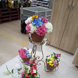 ���� ������, ������, 35 ��� - ��������� 24 ������ 2024