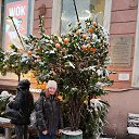 ���� ��������, �����-���������, 32 ���� - ��������� 1 ������� 2025 � ������ ���� ����������