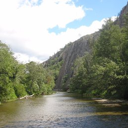 �, ��������, 36 ���