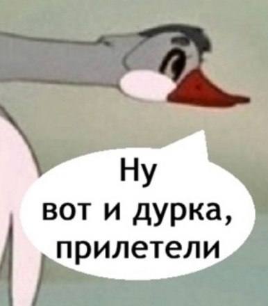 Типичные сны