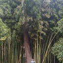 ���� �����, �����-��������� - ��������� 27 ������� 2023 � ������ ���� ����������
