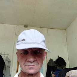 , 53 , -
