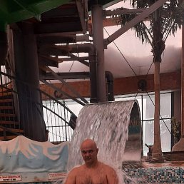 ���� ���������, �����-���������, 51 ��� - ��������� 29 ������ 2026