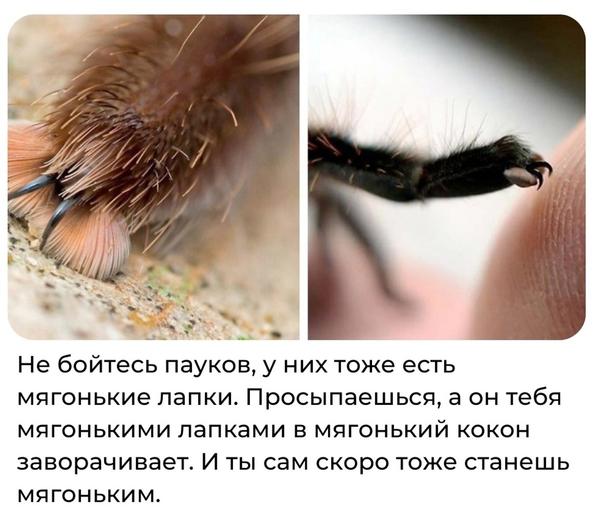 Discovery - 18  2025  17:32