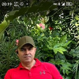 ��������, 49 ���, ������