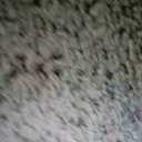 ���� Suji, �����������, 30 ��� - ��������� 17 ��� 2026 � ������ ���� ����������