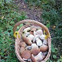 ���� ������, ������, 67 ��� - ��������� 28 ������� 2025 � ������ ���� ����������