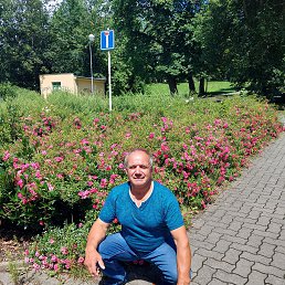 , 53, 