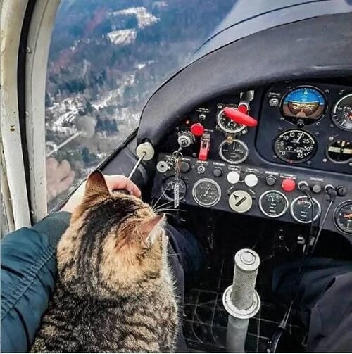 ����� ���� � ������� � ������, ���� ������, �� ������. ��� ��������� ����, � �� ������ ���, ���� ...